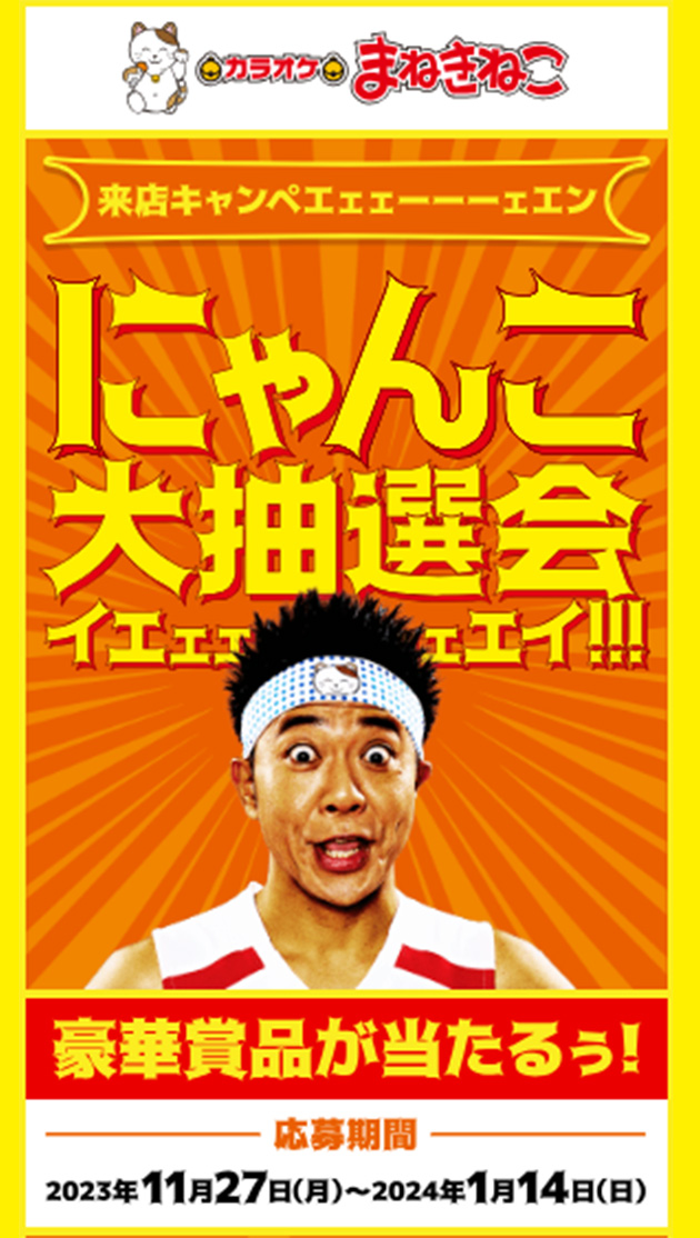 にゃんこ大抽選会イエェェーェエイ！