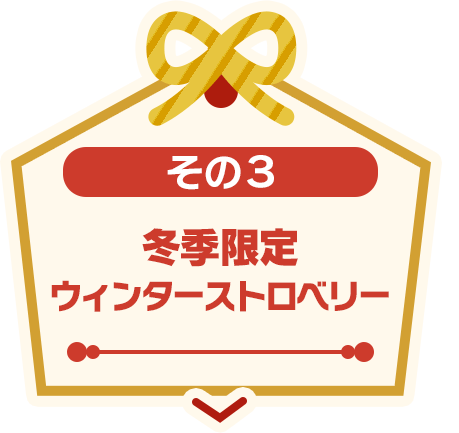 その3 冬季限定ウィンターストロベリー